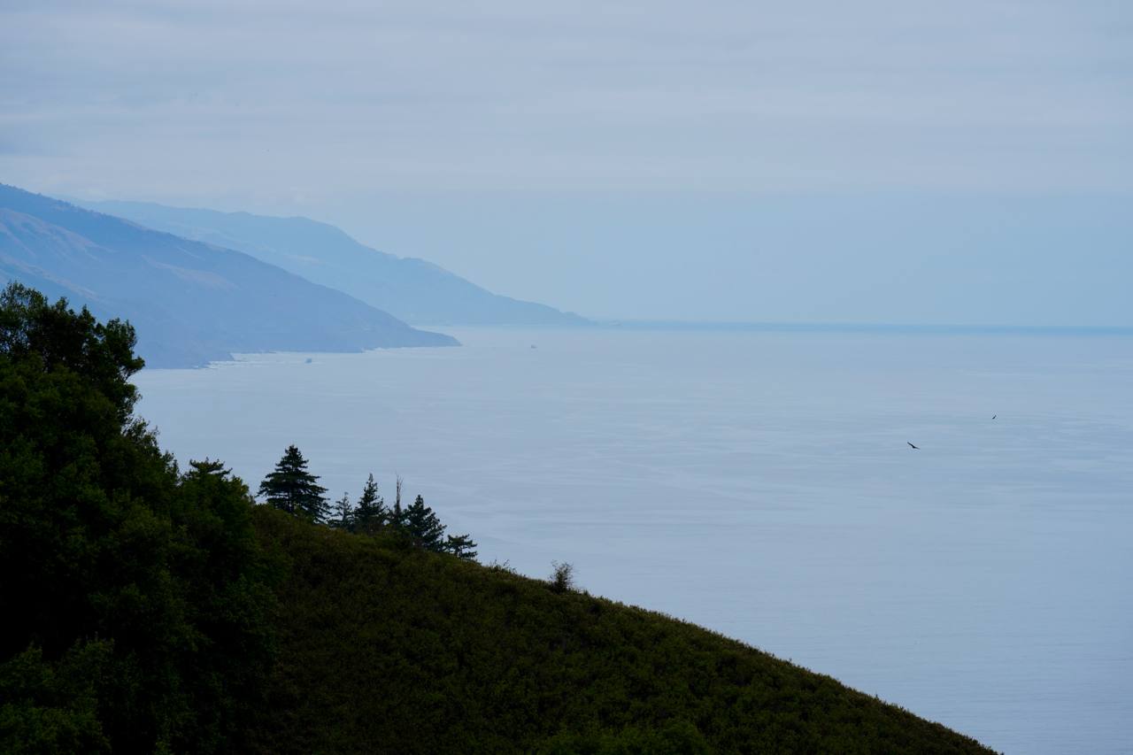 Layered coastal horizon with dark foreground trees