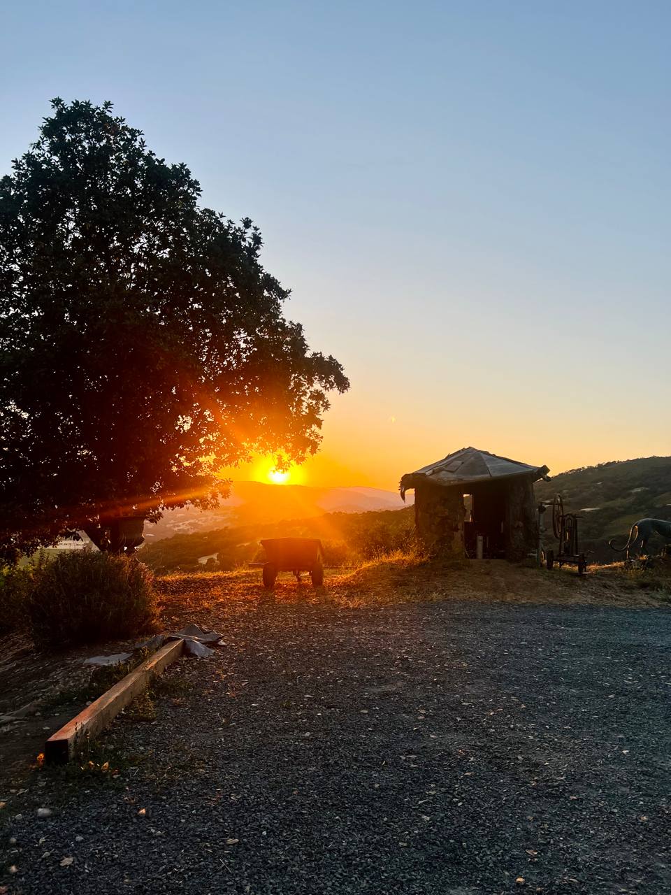 Golden sunset beside oak tree and small outbuilding