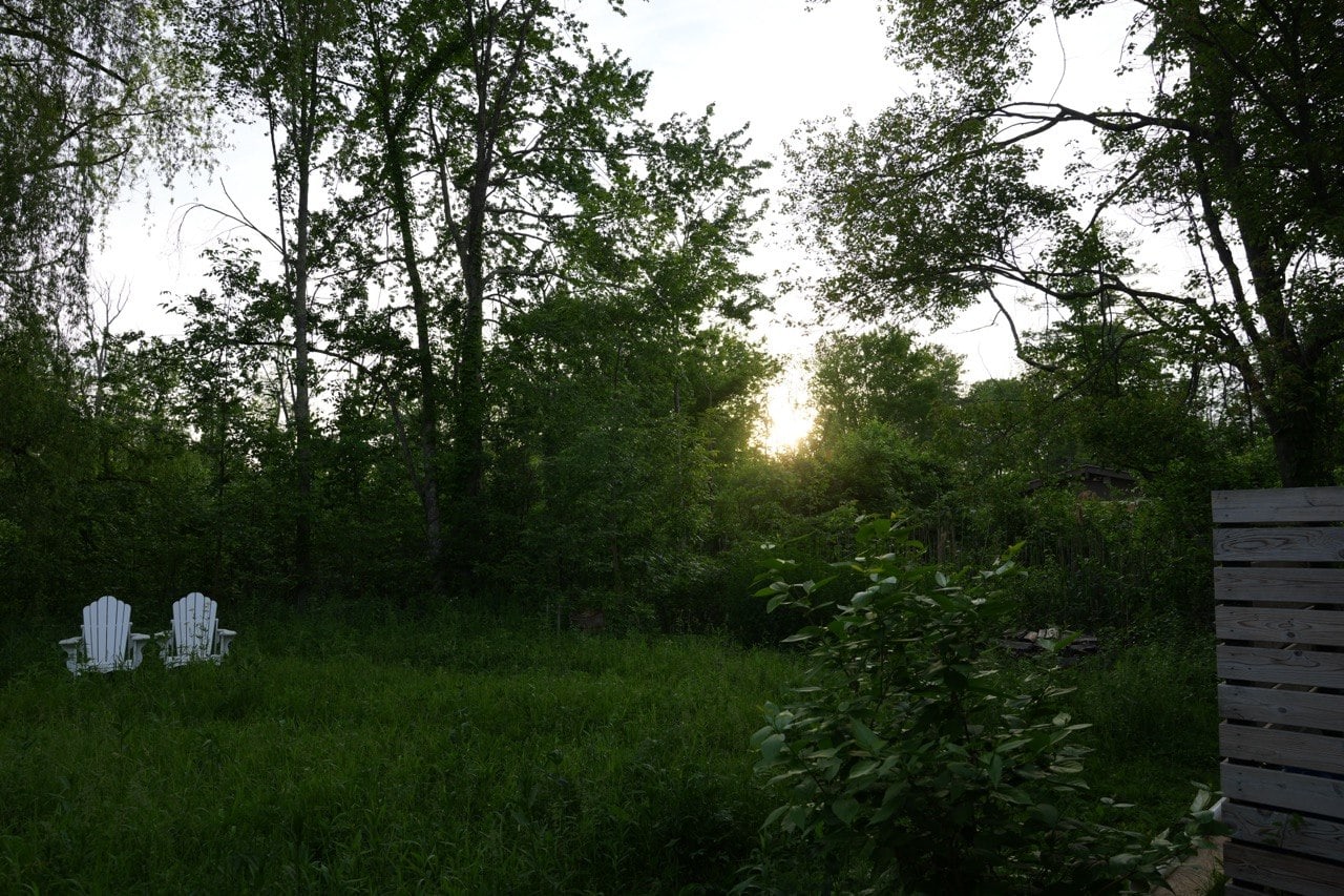Backyard Sunset