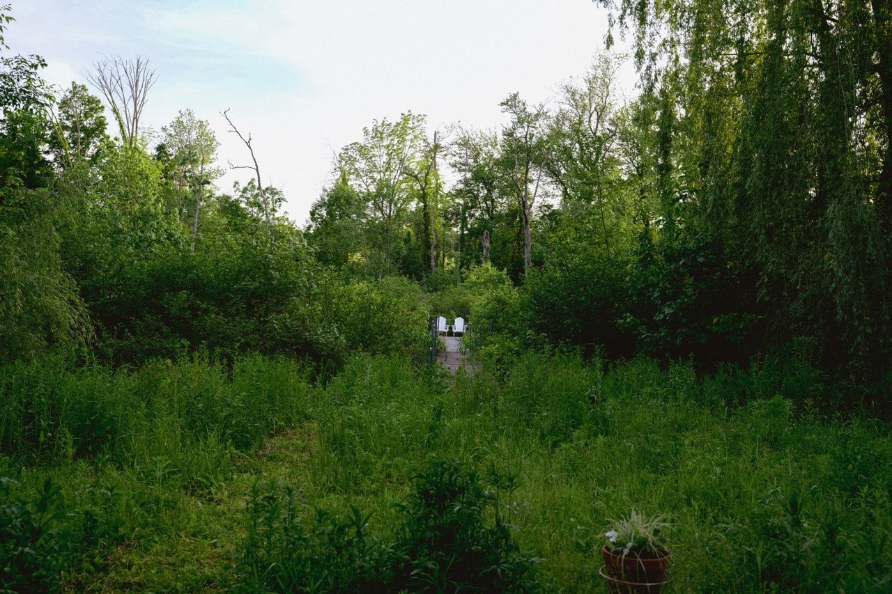 Woods Path